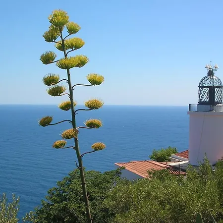 Apartmán Antic Plankton - Calella Palafrugell - Free Parking, Beach, Wifi, Perfect Holidays Calella De Palafrugell